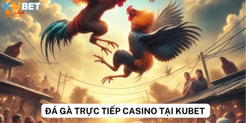 Hướng dẫn cách tham gia cá cược đá gà trực tiếp casino trên kubet