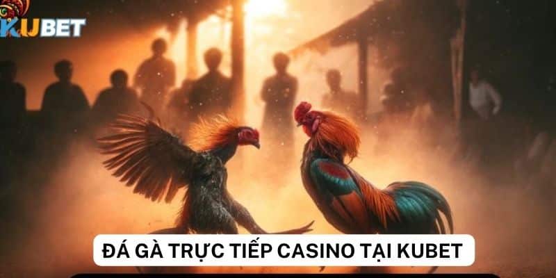 Kinh nghiệm cá cược đá gà trực tiếp casino cho người mới bắt đầu