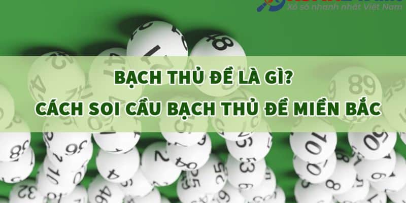 Sử dụng kinh nghiệm cá nhân