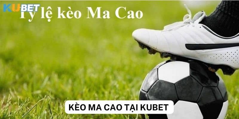 Top 5 kèo Ma cao phổ biến nhất tại Kubet