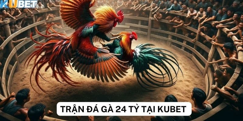 Những điều cần biết trước khi tham gia trận đá gà 24 tỷ tại nhà cái Kubet