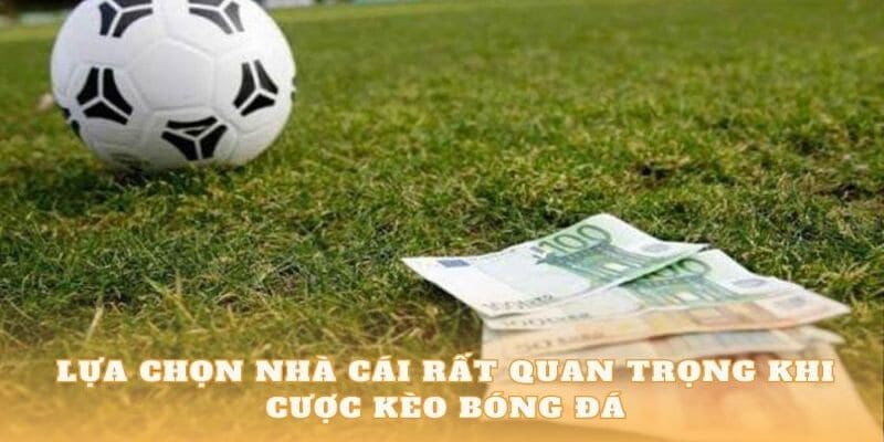 Các loại kèo tại sảnh thể thao 789bet com