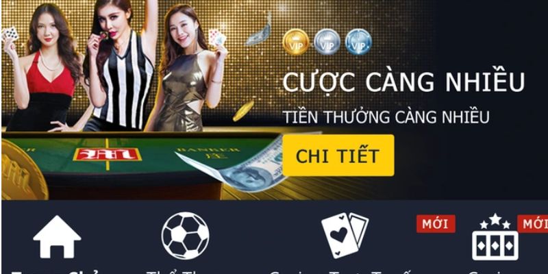 Khám phá cá cược thể thao Typhu88 com