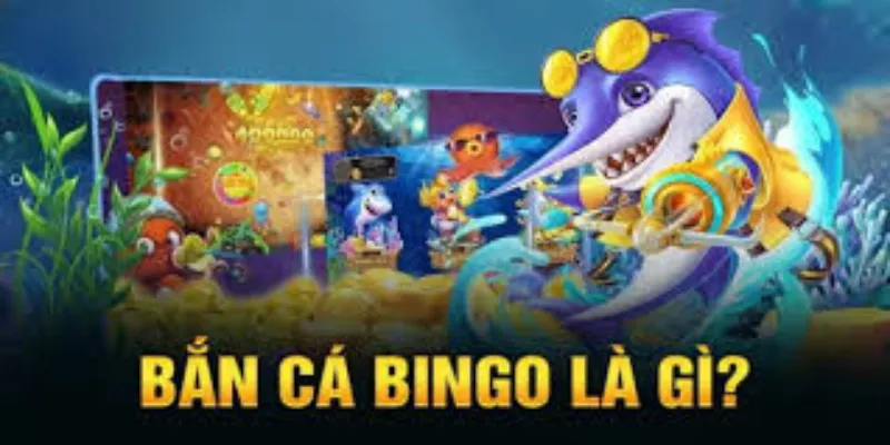 Cấu trúc của trò chơi bắn cá bingo