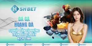 Đá Gà Hoang Dã – Sự Hấp Dẫn Từ Những Trận Đấu Gà Đầy Kịch Tính